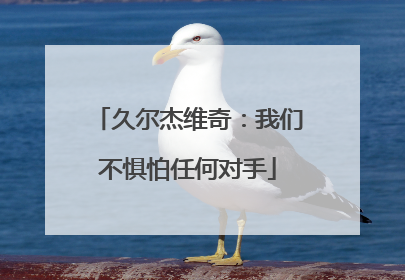久尔杰维奇：我们不惧怕任何对手