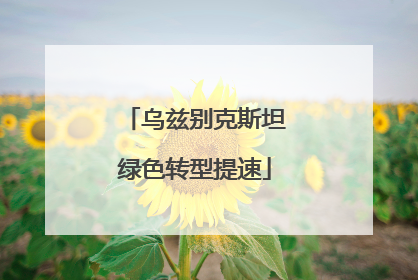 乌兹别克斯坦绿色转型提速