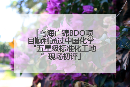 乌海广锦BDO项目顺利通过中国化学“五星级标准化工地”现场初评