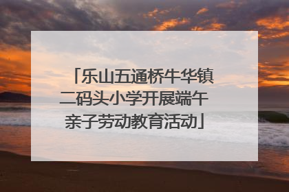 乐山五通桥牛华镇二码头小学开展端午亲子劳动教育活动