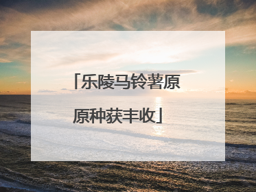 乐陵马铃薯原原种获丰收
