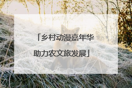 乡村动漫嘉年华助力农文旅发展