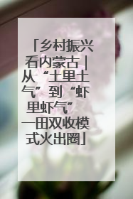 乡村振兴看内蒙古｜从“土里土气”到“虾里虾气” 一田双收模式火出圈