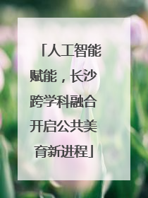 人工智能赋能，长沙跨学科融合开启公共美育新进程