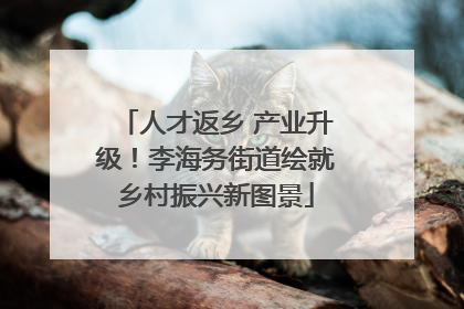 人才返乡 产业升级！李海务街道绘就乡村振兴新图景