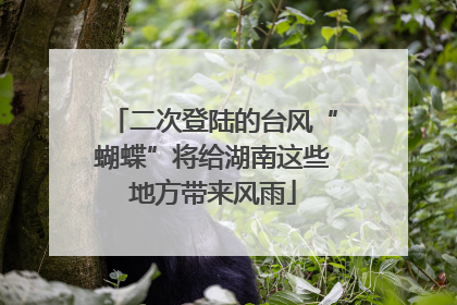 二次登陆的台风“蝴蝶”将给湖南这些地方带来风雨