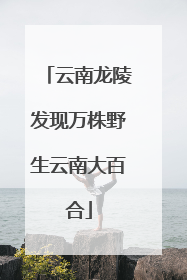 云南龙陵发现万株野生云南大百合