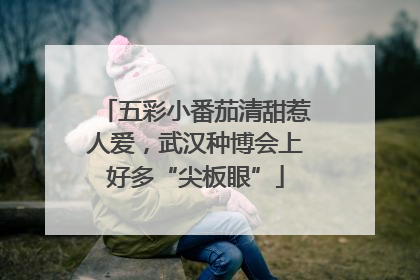 五彩小番茄清甜惹人爱，武汉种博会上好多“尖板眼”