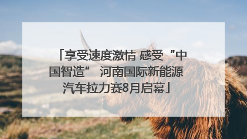 享受速度激情 感受“中国智造” 河南国际新能源汽车拉力赛8月启幕