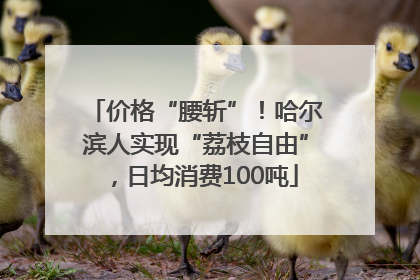 价格“腰斩”！哈尔滨人实现“荔枝自由”，日均消费100吨