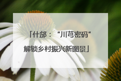 什邡：“川芎密码”解锁乡村振兴新图景