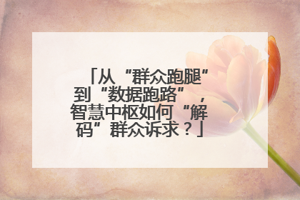 从“群众跑腿”到“数据跑路”，智慧中枢如何“解码”群众诉求？