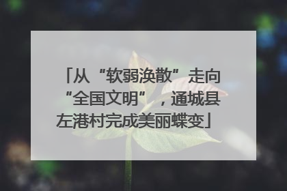 从“软弱涣散”走向“全国文明”，通城县左港村完成美丽蝶变