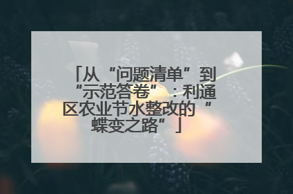 从“问题清单”到“示范答卷”：利通区农业节水整改的“蝶变之路”