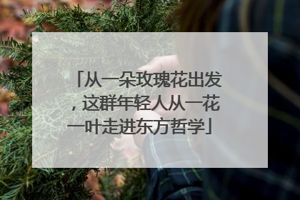 从一朵玫瑰花出发，这群年轻人从一花一叶走进东方哲学
