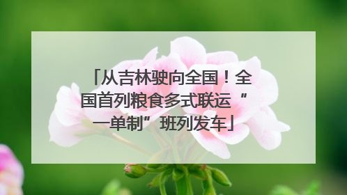 从吉林驶向全国！全国首列粮食多式联运“一单制”班列发车