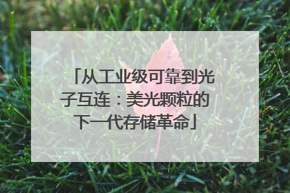 从工业级可靠到光子互连：美光颗粒的下一代存储革命