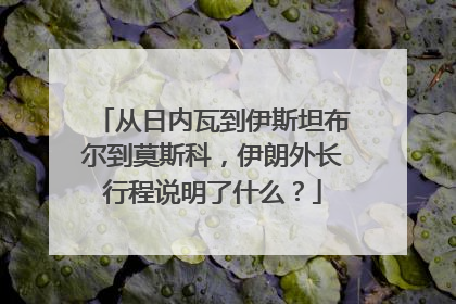 从日内瓦到伊斯坦布尔到莫斯科，伊朗外长行程说明了什么？