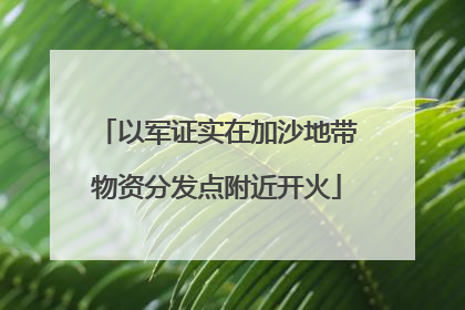 以军证实在加沙地带物资分发点附近开火