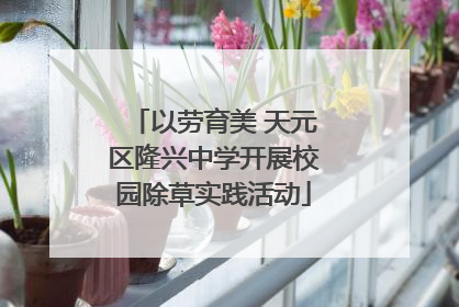 以劳育美 天元区隆兴中学开展校园除草实践活动