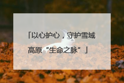 以心护心，守护雪域高原“生命之脉”