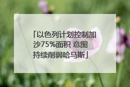 以色列计划控制加沙75%面积 意图持续削弱哈马斯