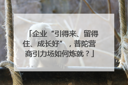 企业“引得来、留得住、成长好”，普陀营商引力场如何炼就？