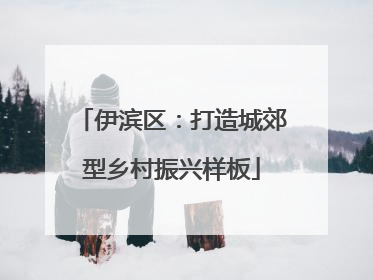 伊滨区：打造城郊型乡村振兴样板