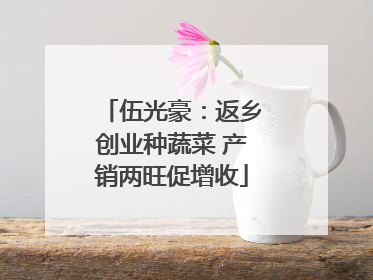伍光豪：返乡创业种蔬菜 产销两旺促增收
