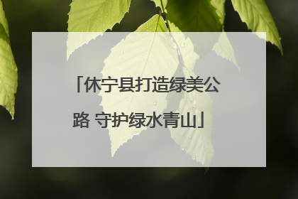 休宁县打造绿美公路 守护绿水青山