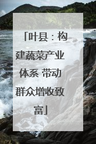 叶县：构建蔬菜产业体系 带动群众增收致富
