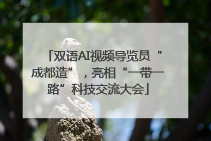 双语AI视频导览员“成都造”，亮相“一带一路”科技交流大会