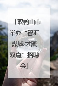 双鸭山市举办“智汇煤城·才聚双赢”招聘会