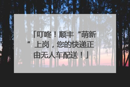 叮咚！顺丰“萌新”上岗，您的快递正由无人车配送！