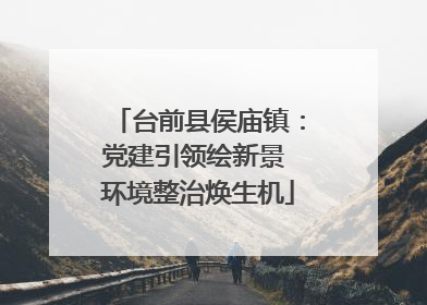 台前县侯庙镇：党建引领绘新景 环境整治焕生机