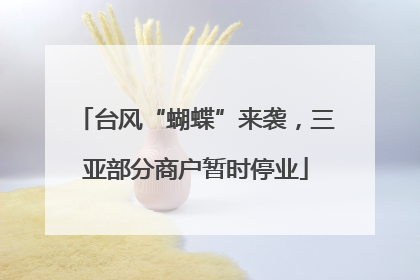 台风“蝴蝶”来袭，三亚部分商户暂时停业