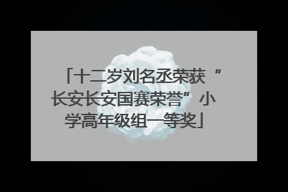 十二岁刘名丞荣获“长安长安国赛荣誉”小学高年级组一等奖