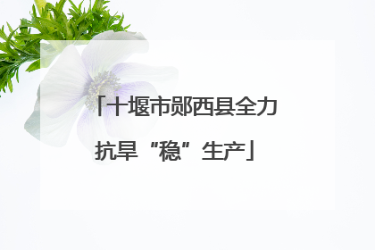 十堰市郧西县全力抗旱“稳”生产