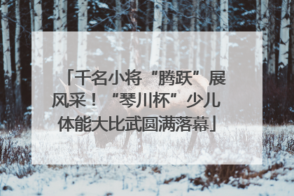 千名小将“腾跃”展风采！“琴川杯”少儿体能大比武圆满落幕