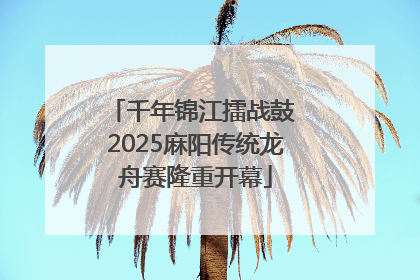 千年锦江擂战鼓 2025麻阳传统龙舟赛隆重开幕