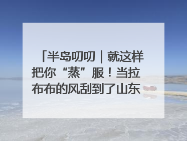 半岛叨叨｜就这样把你“蒸”服！当拉布布的风刮到了山东馒头界……