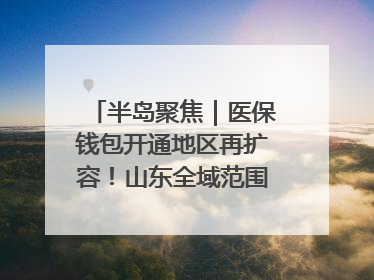 半岛聚焦｜医保钱包开通地区再扩容！山东全域范围内已开通，有何用处？如何操作？速戳→