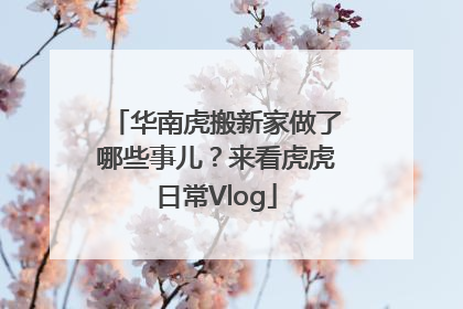 华南虎搬新家做了哪些事儿？来看虎虎日常Vlog