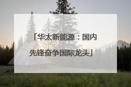 华太新能源：国内先锋奋争国际龙头
