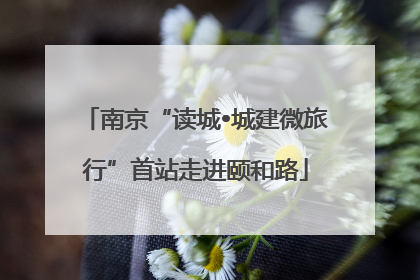 南京“读城•城建微旅行”首站走进颐和路