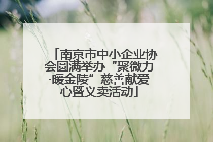 南京市中小企业协会圆满举办“聚微力·暖金陵”慈善献爱心暨义卖活动