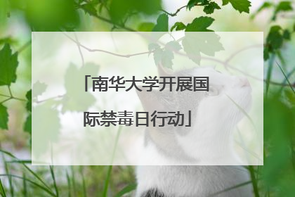 南华大学开展国际禁毒日行动