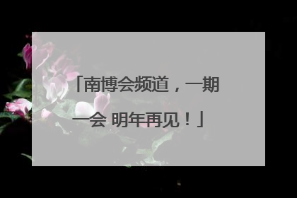 南博会频道，一期一会 明年再见！