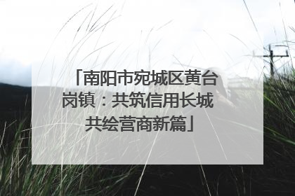 南阳市宛城区黄台岗镇：共筑信用长城 共绘营商新篇