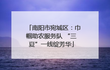 南阳市宛城区：巾帼助农服务队 “三夏”一线绽芳华